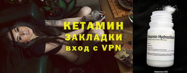 хмурый Аркадак
