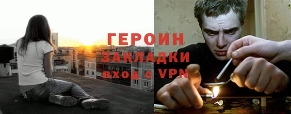 хмурый Аркадак