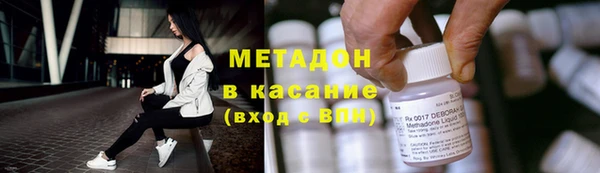 хмурый Аркадак