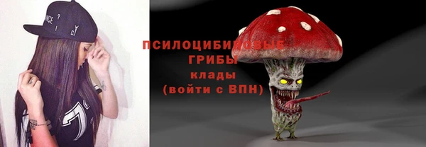 хмурый Аркадак