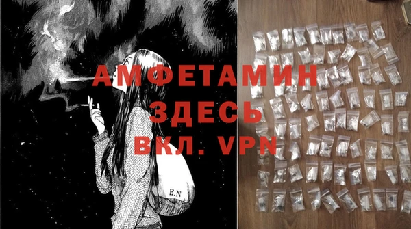 ПСИЛОЦИБИНОВЫЕ ГРИБЫ Арсеньев