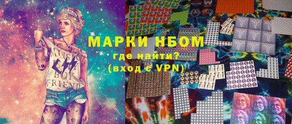 хмурый Аркадак