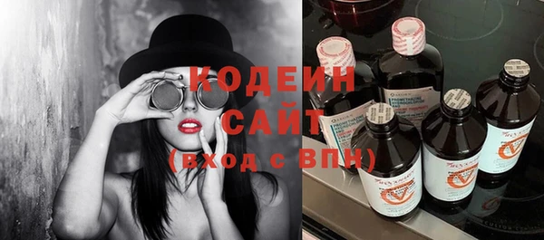ПСИЛОЦИБИНОВЫЕ ГРИБЫ Арсеньев