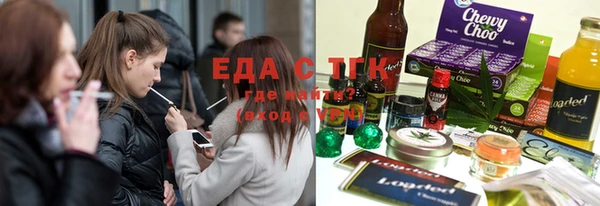 хмурый Аркадак