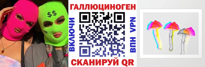 как найти   Рыльск  Галлюциногенные грибы Psilocybe 